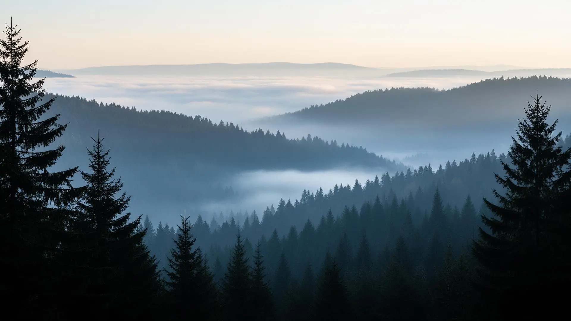 Misty cloud forest with layered mountain ridges